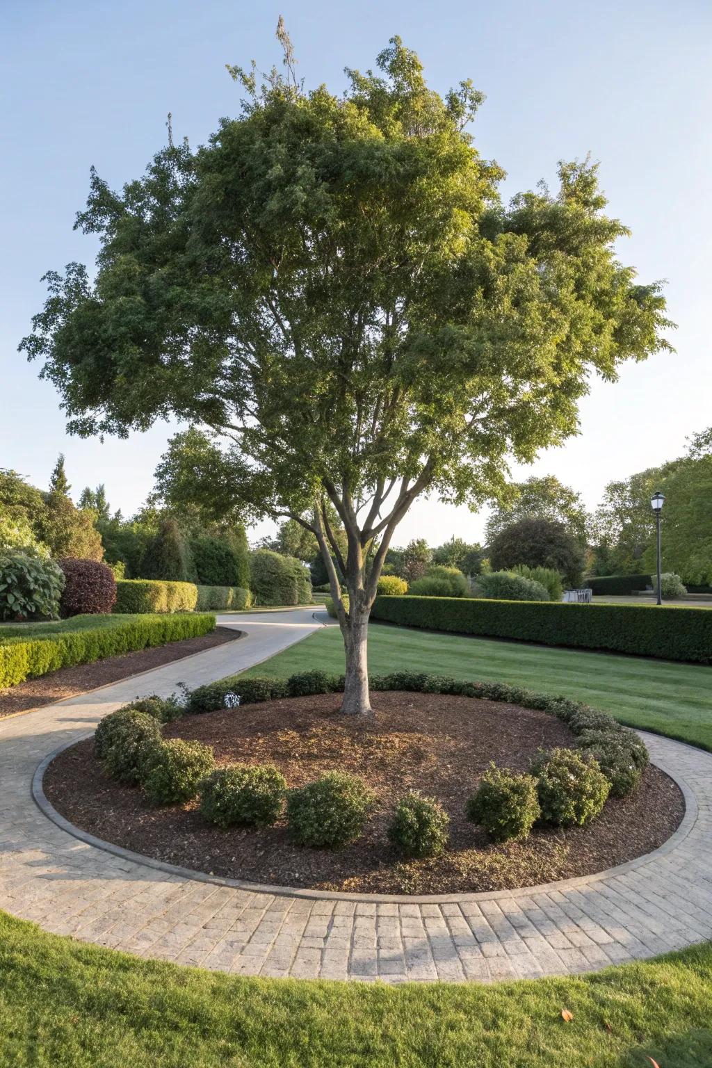 Mulch adds a tidy finish while supporting plant health.