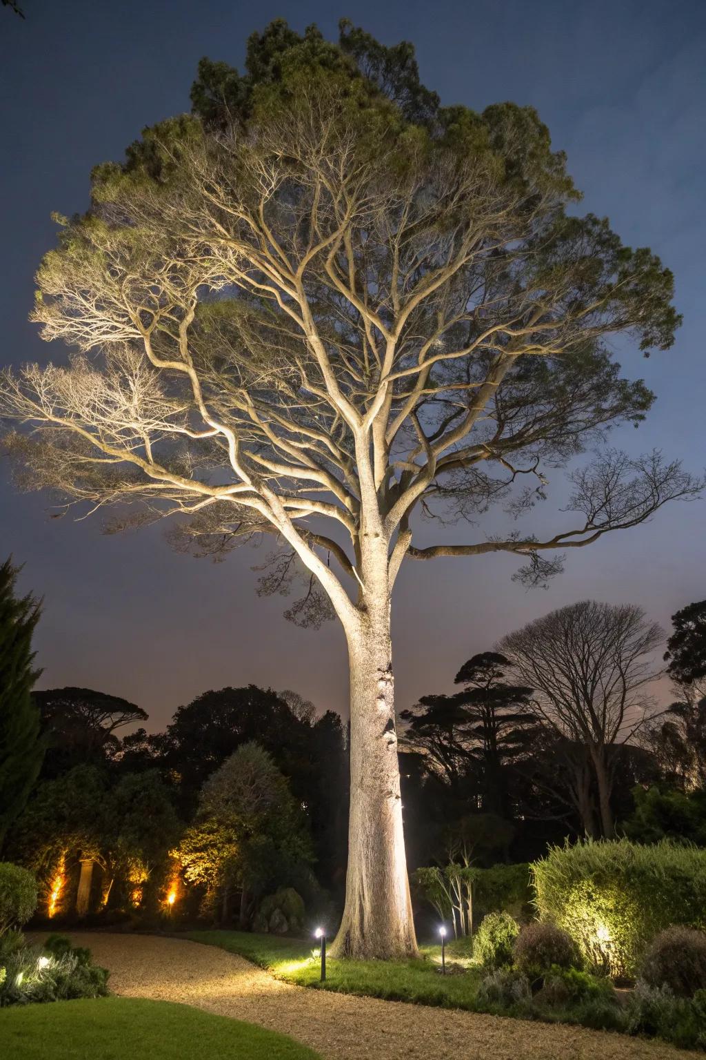 Uplighting creates a dramatic focal point.