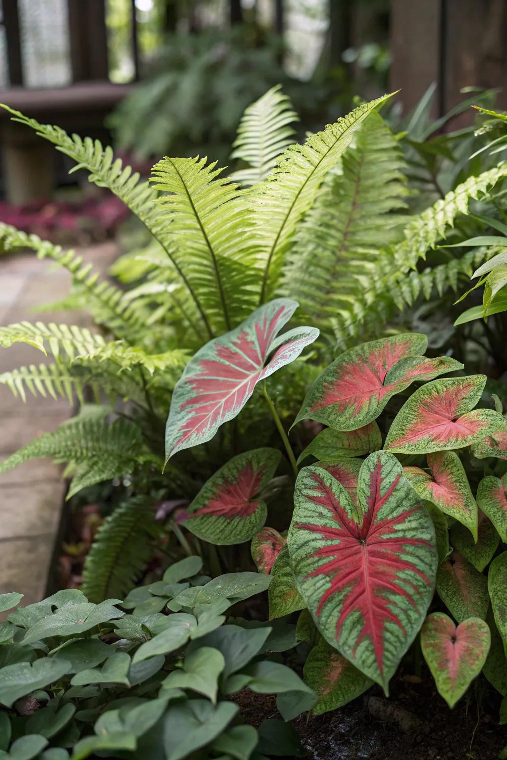 Rich foliage brings texture and variety.