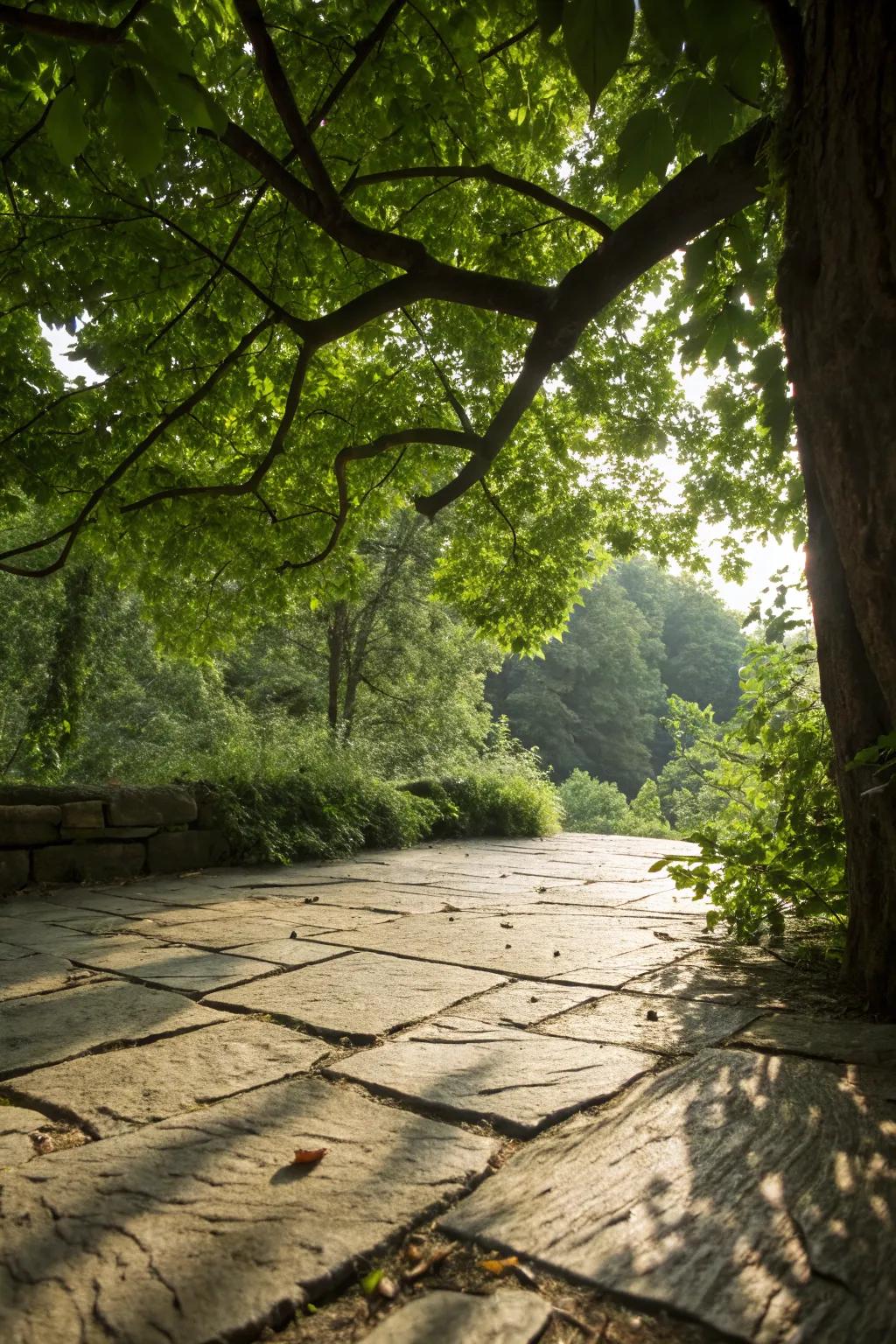Natural stone flooring provides an elegant base for your patio.