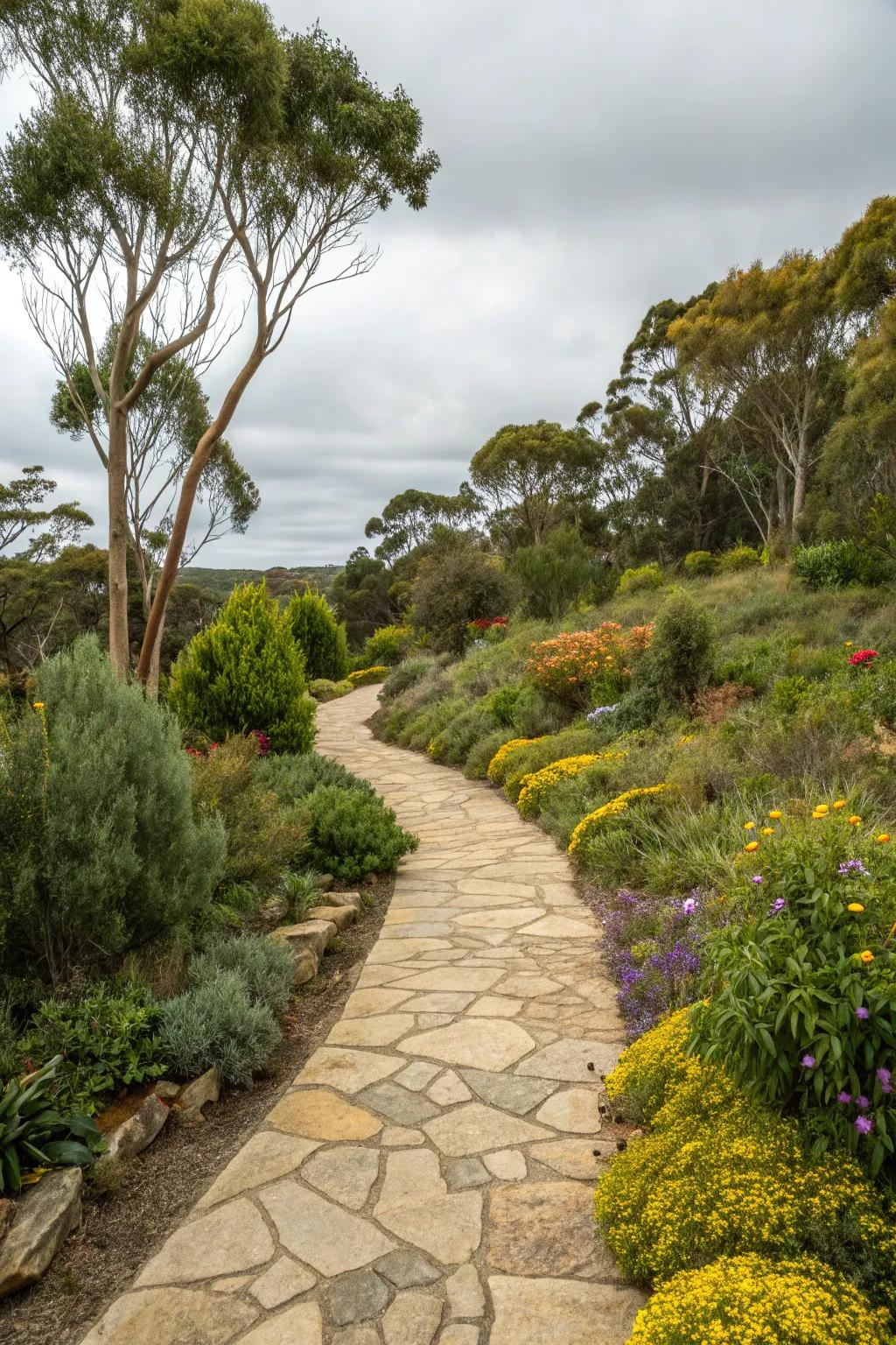 A winding stone pathway adds charm and structure to a garden filled with Australian flora.