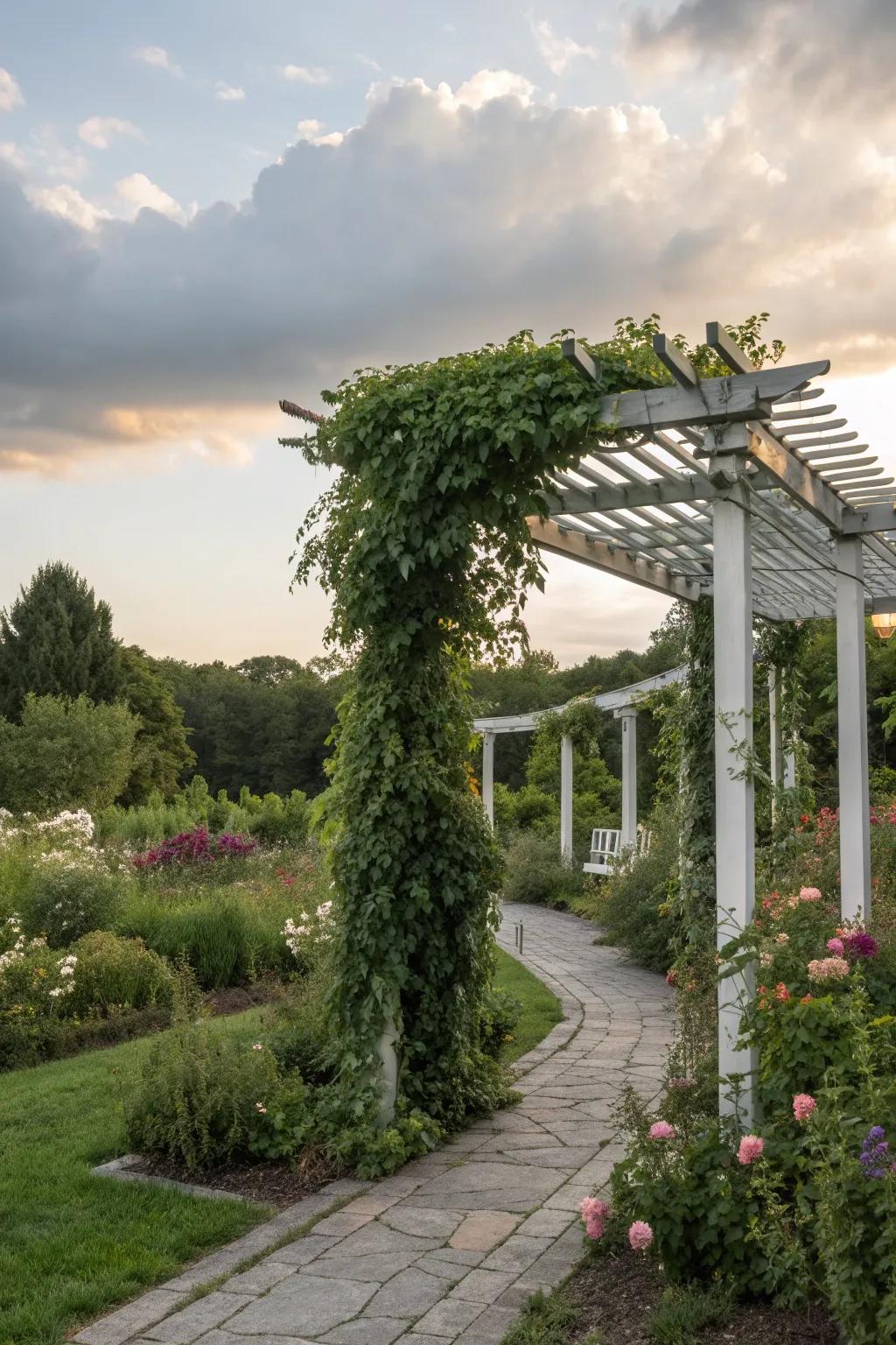 A garden retreat aluminum pergola surrounded by lush greenery.