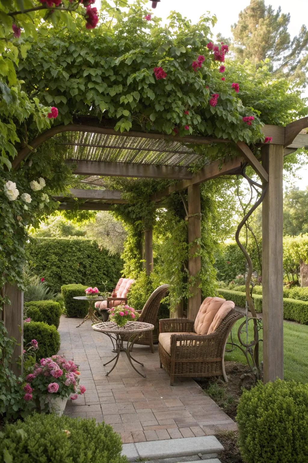 Pergola-style arbor offering shade and a beautiful structure for climbing plants.