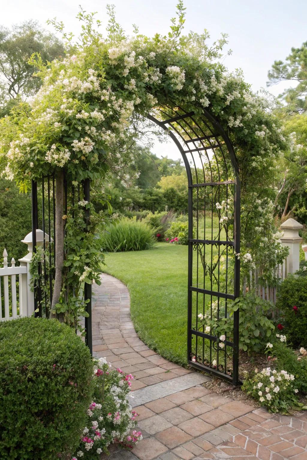 A living gate with jasmine creating a natural floral arch.