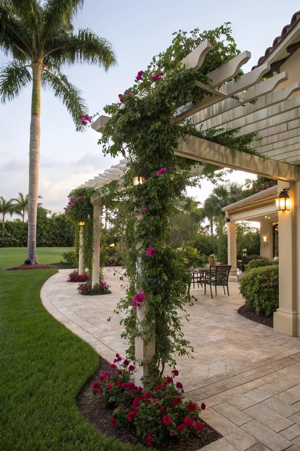 A stylish pergola draped with flowering vines in a Florida backyard.