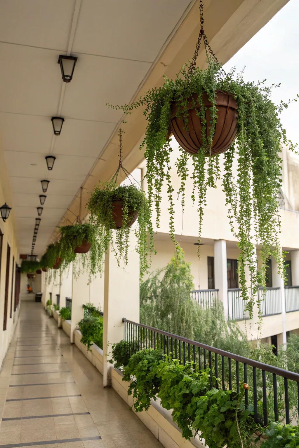 Suspended pots create a charming floating garden effect.