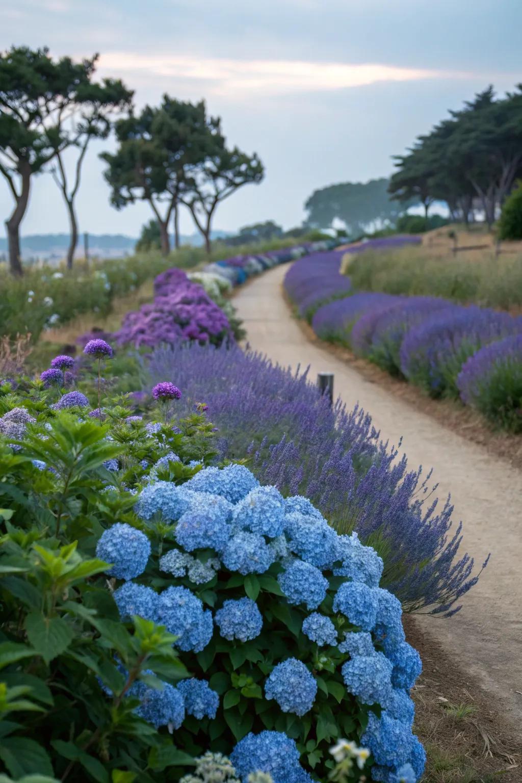Relaxing blues and purples for a serene garden.