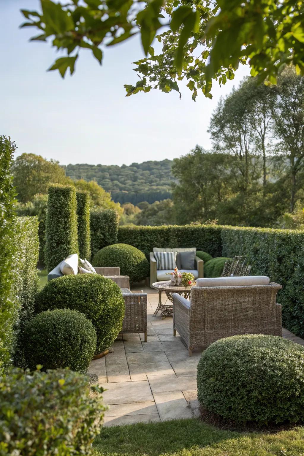 A cozy seating area embraced by lush boxwood hedges.