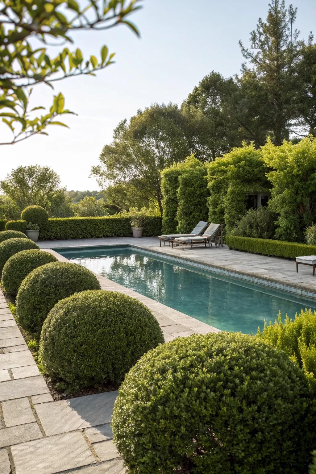 Enhance your poolside with lush boxwood framing.