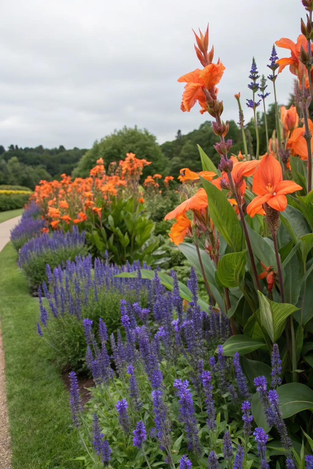 Contrast colors for a garden that pops.