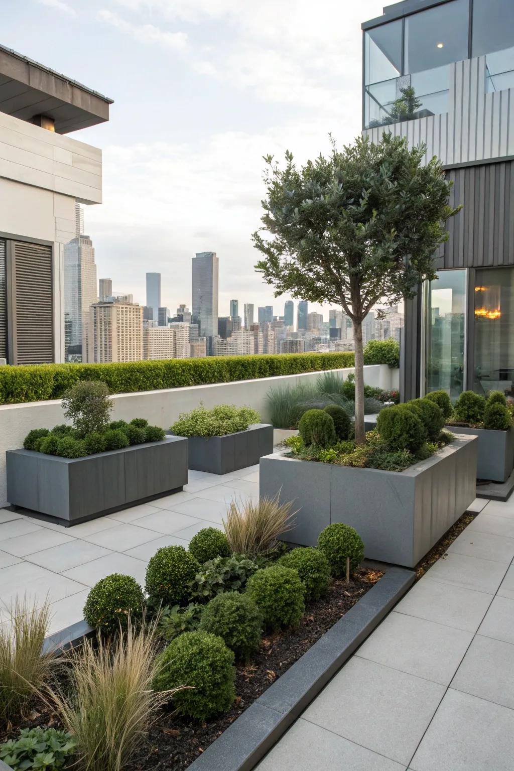 A minimalist city front yard with sleek design elements and plants.