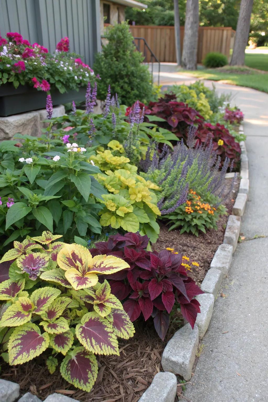Mixed plant beds gain depth with coleus.