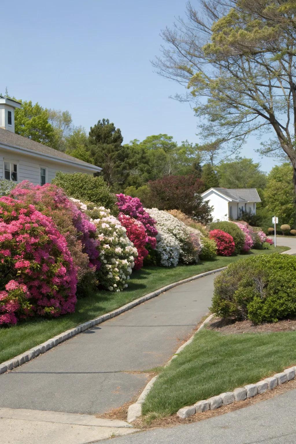 Flowering shrubs offer both privacy and aesthetic appeal.