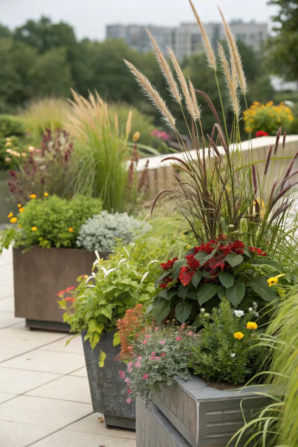 A layered container garden with a mix of heights for visual interest.