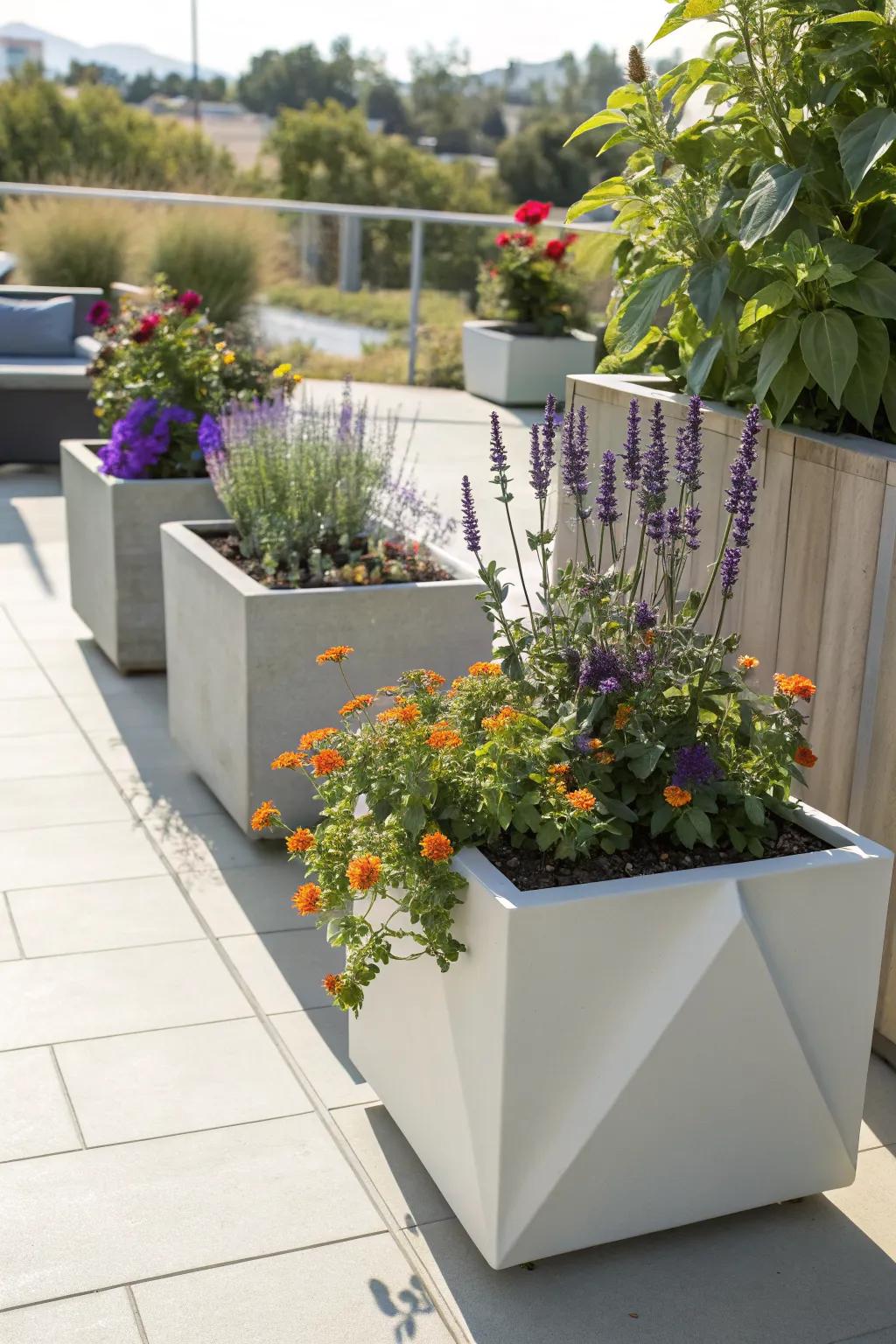 Modern planters with bold geometric designs