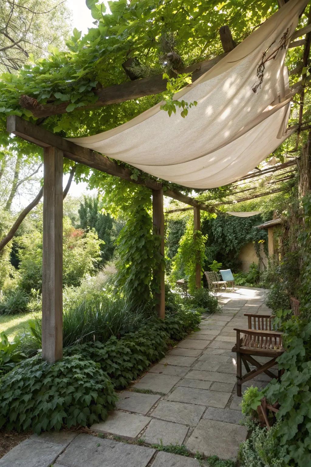 A pergola enhanced with a shade cloth and climbing plants.