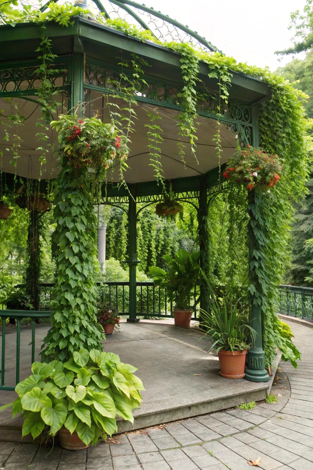 Plants and greenery bring your gazebo to life.