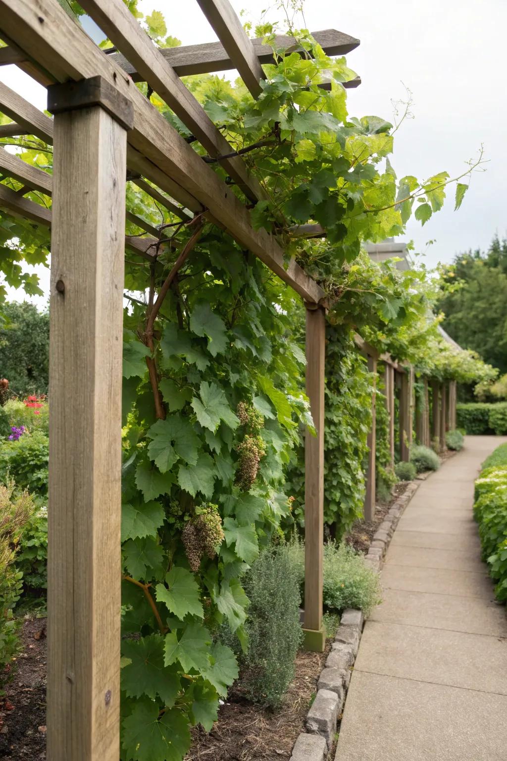A vertical wooden frame trellis that complements a modern garden aesthetic.