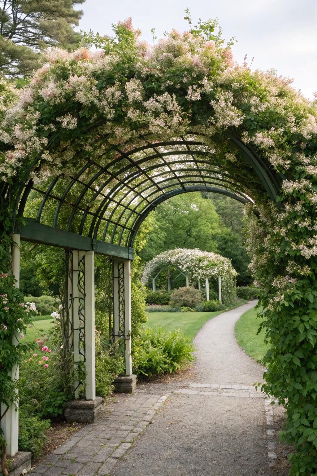 An elegant arched pergola with cascading honeysuckle, perfect for a garden entrance.