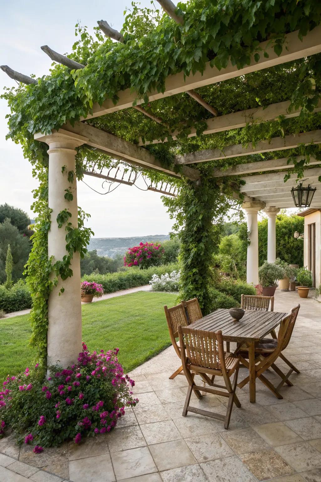A stylish pergola offering shade and a touch of greenery.