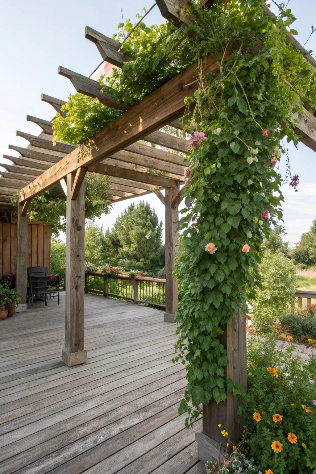 Add elegance and shade with a wooden pergola.