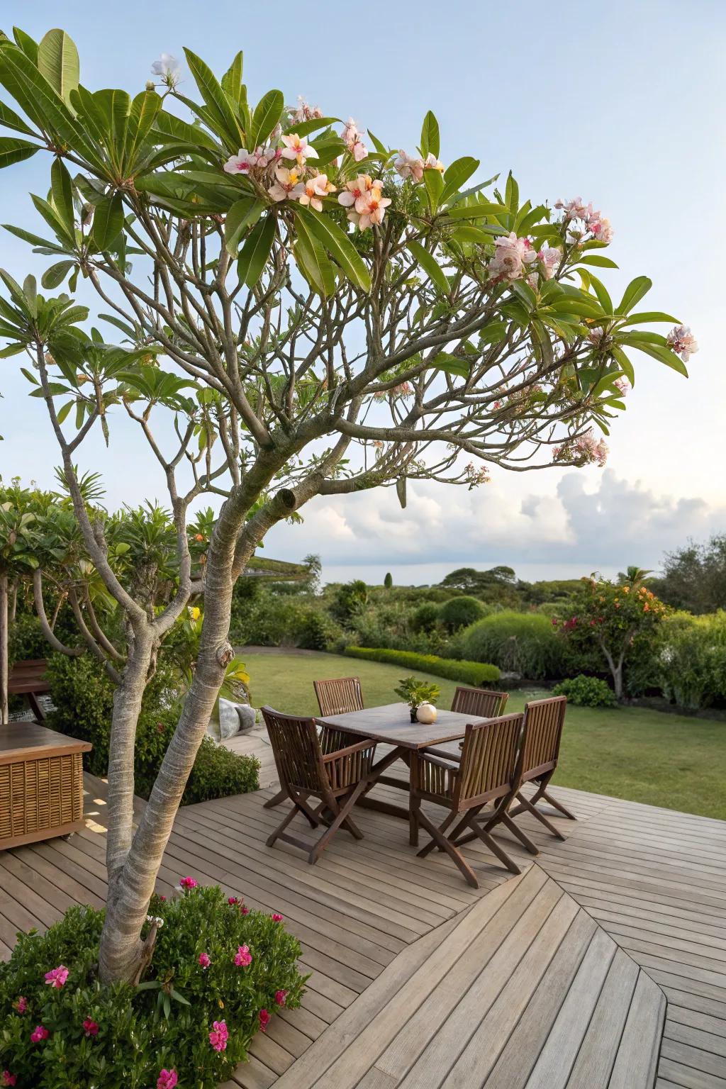 A frangipani tree enhances the tropical feel of a cozy deck.