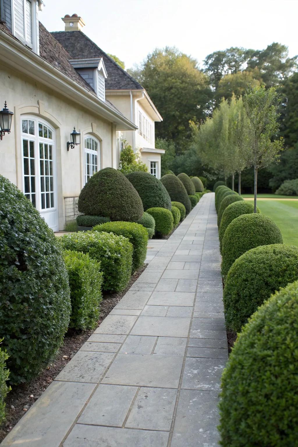 Shrubs add structure and elegance, enhancing the home's exterior.