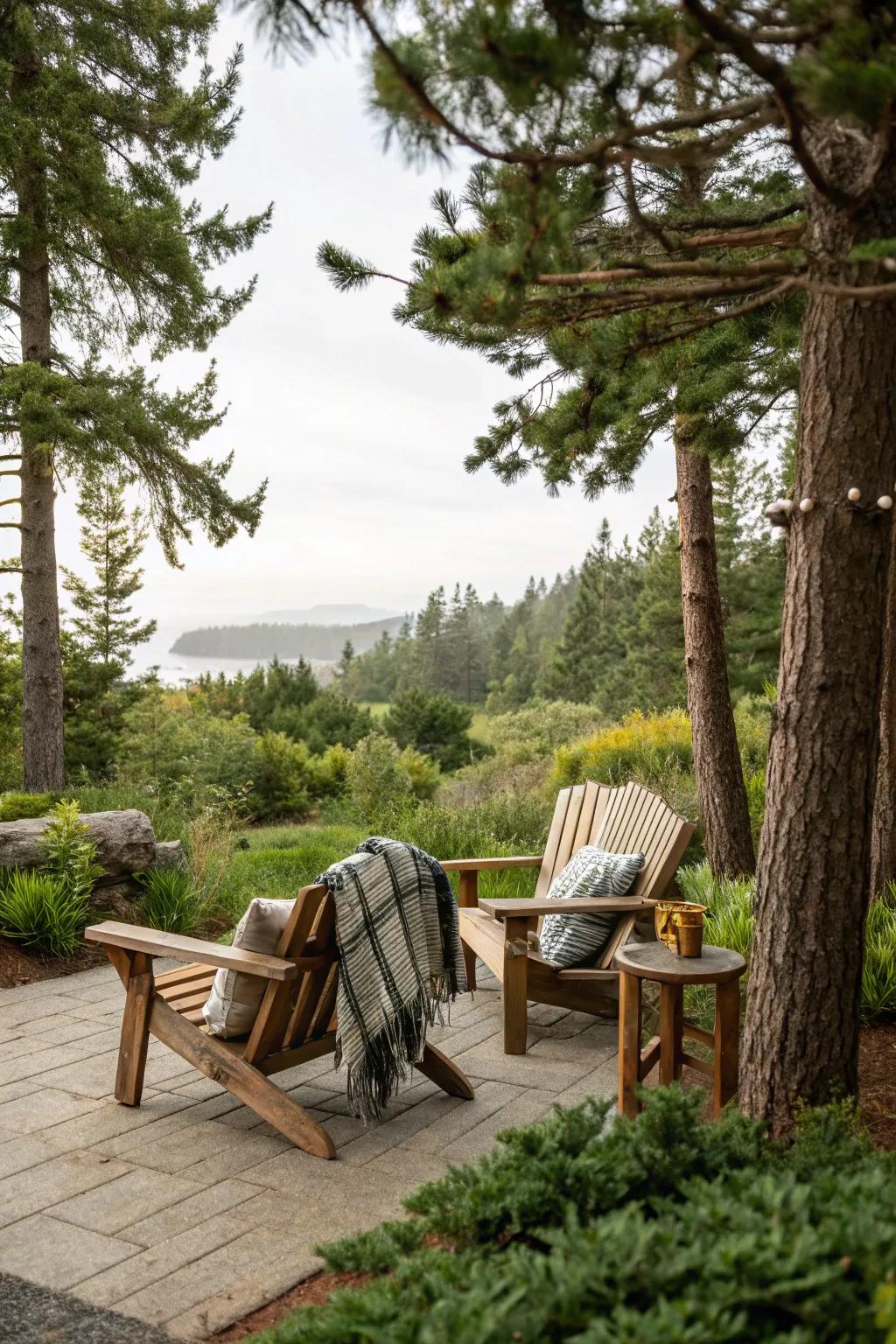 A tranquil seating area beneath towering pines.