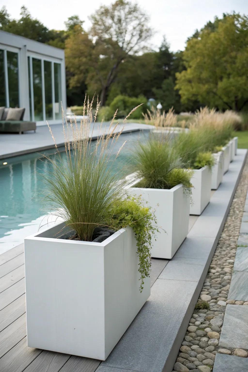 Achieve a sleek poolside look with modern planters.