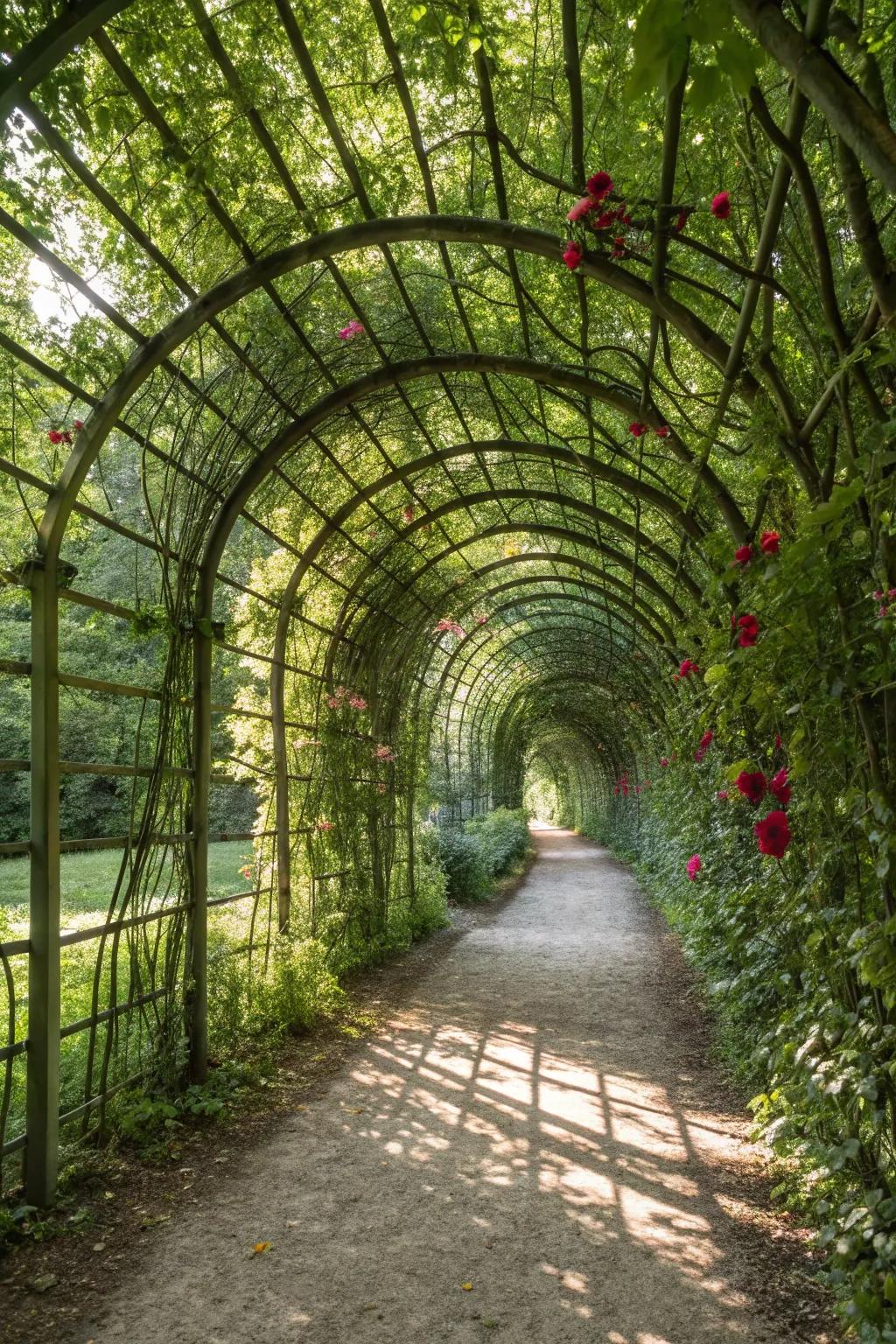 A lattice tunnel creates an enchanting garden pathway.