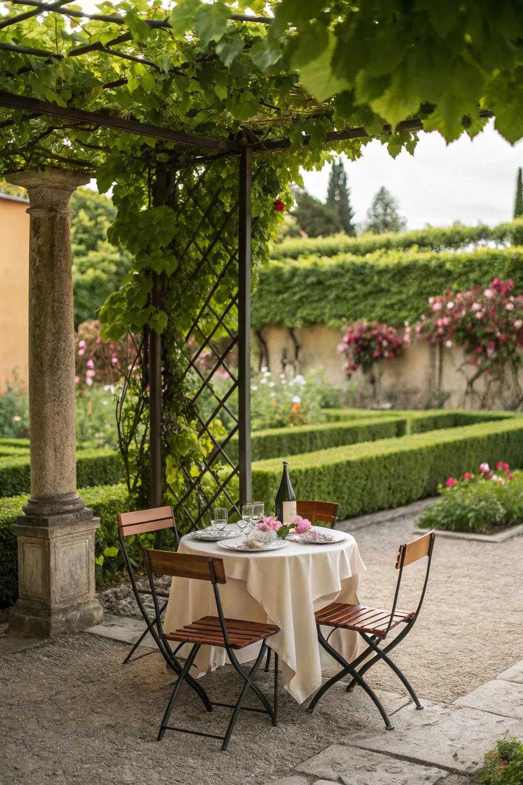 Outdoor dining area under a vine-covered pergola