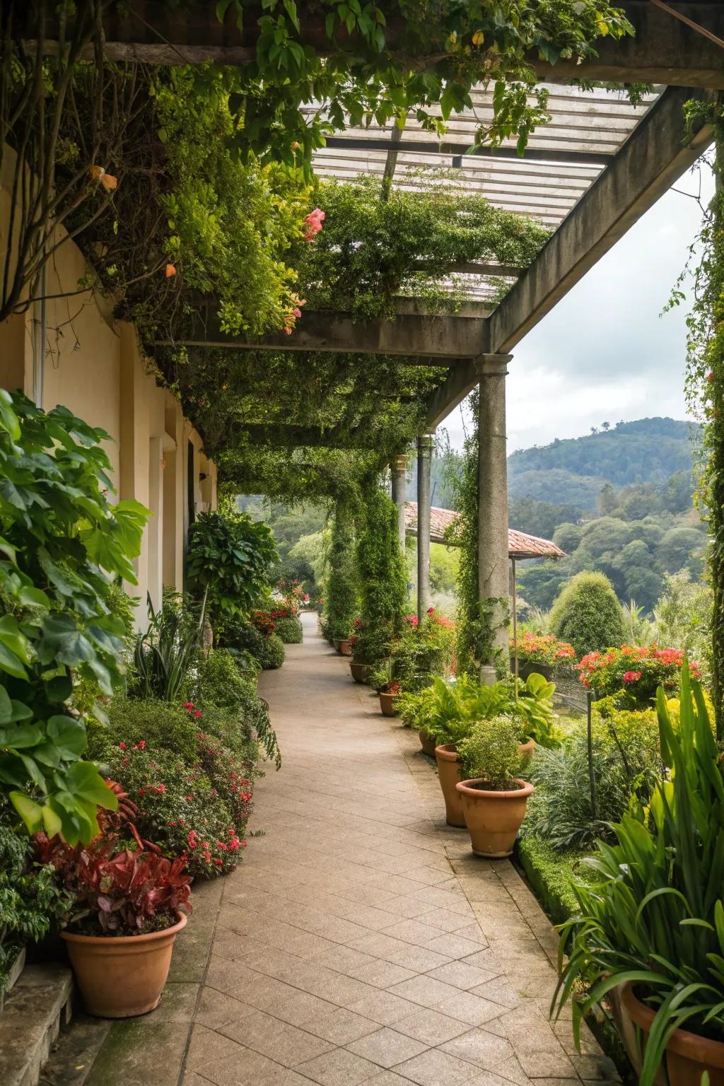 A green oasis in your breezeway enhances its natural beauty.