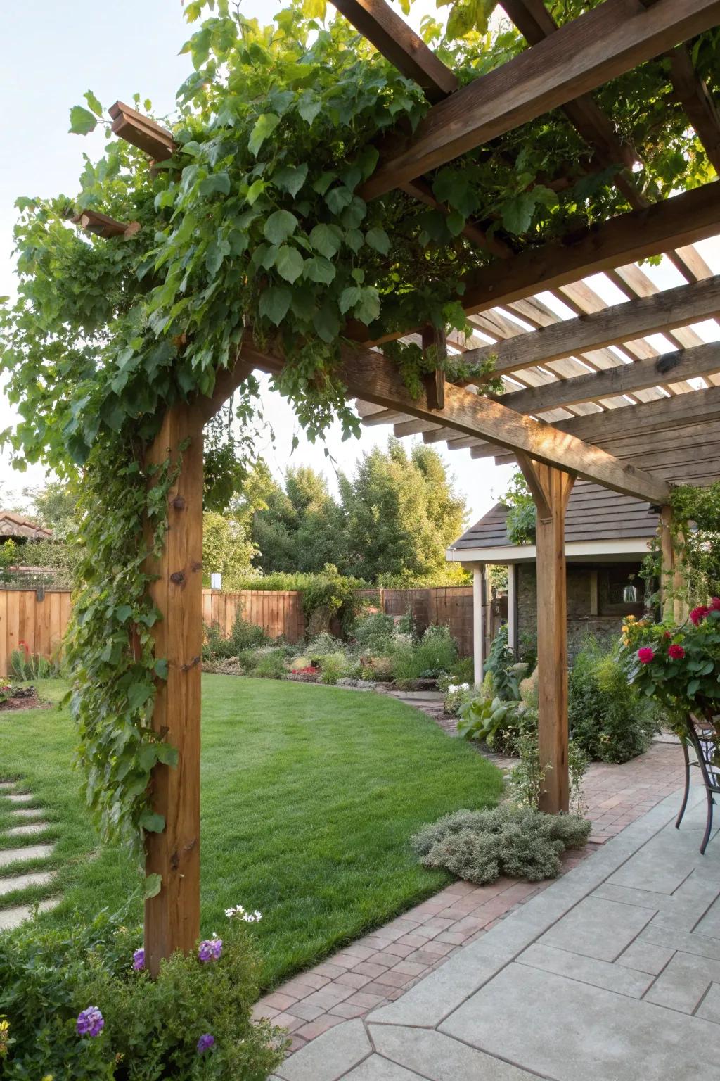 A pergola adds architectural interest and shade to outdoor spaces.