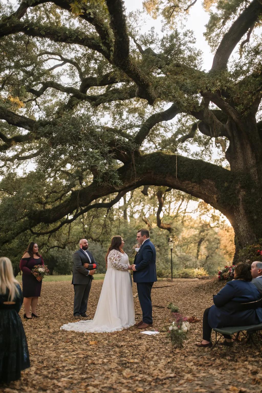 A ceremony under a majestic tree creates a natural backdrop.