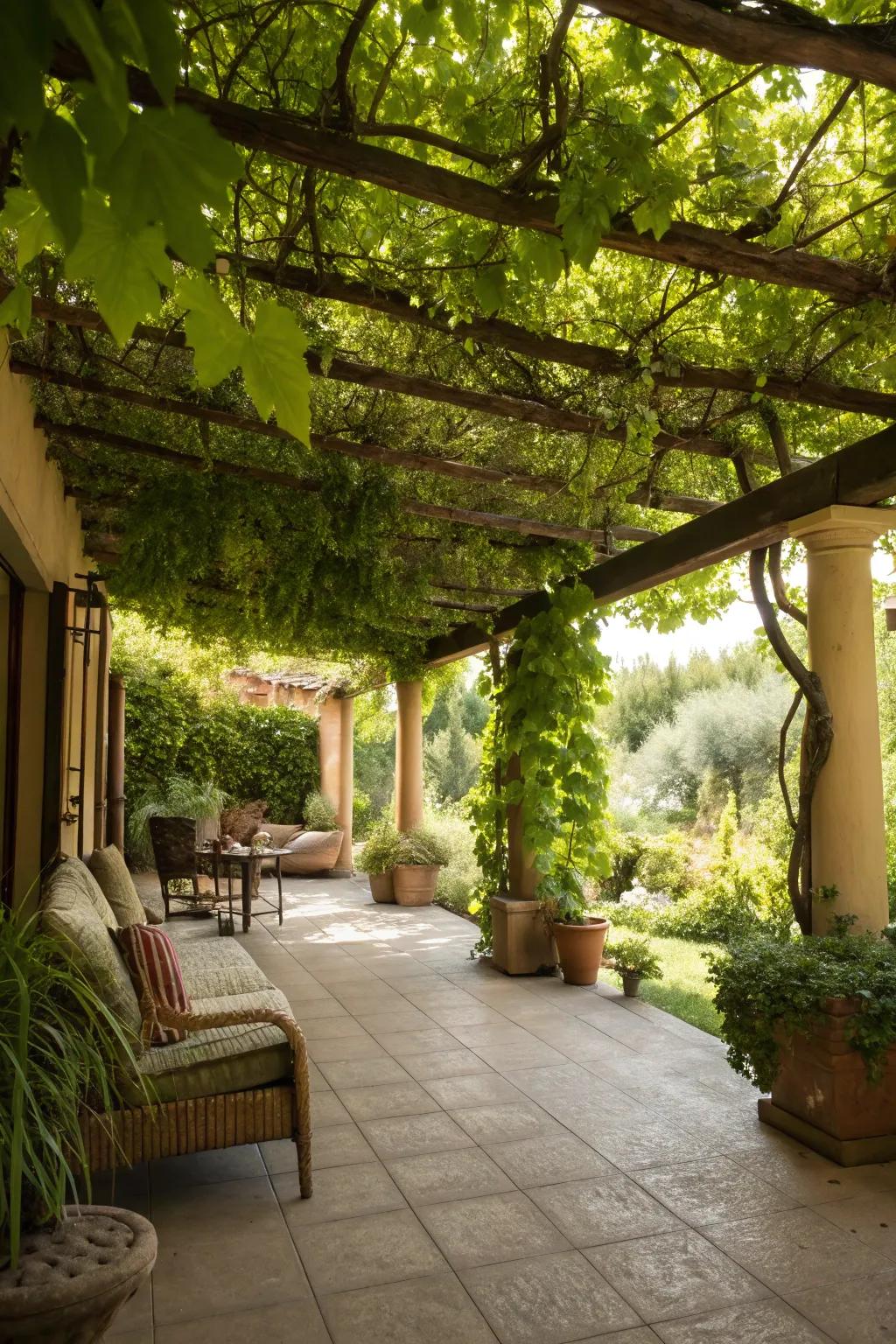 A vine-covered pergola adds elegance and shade.