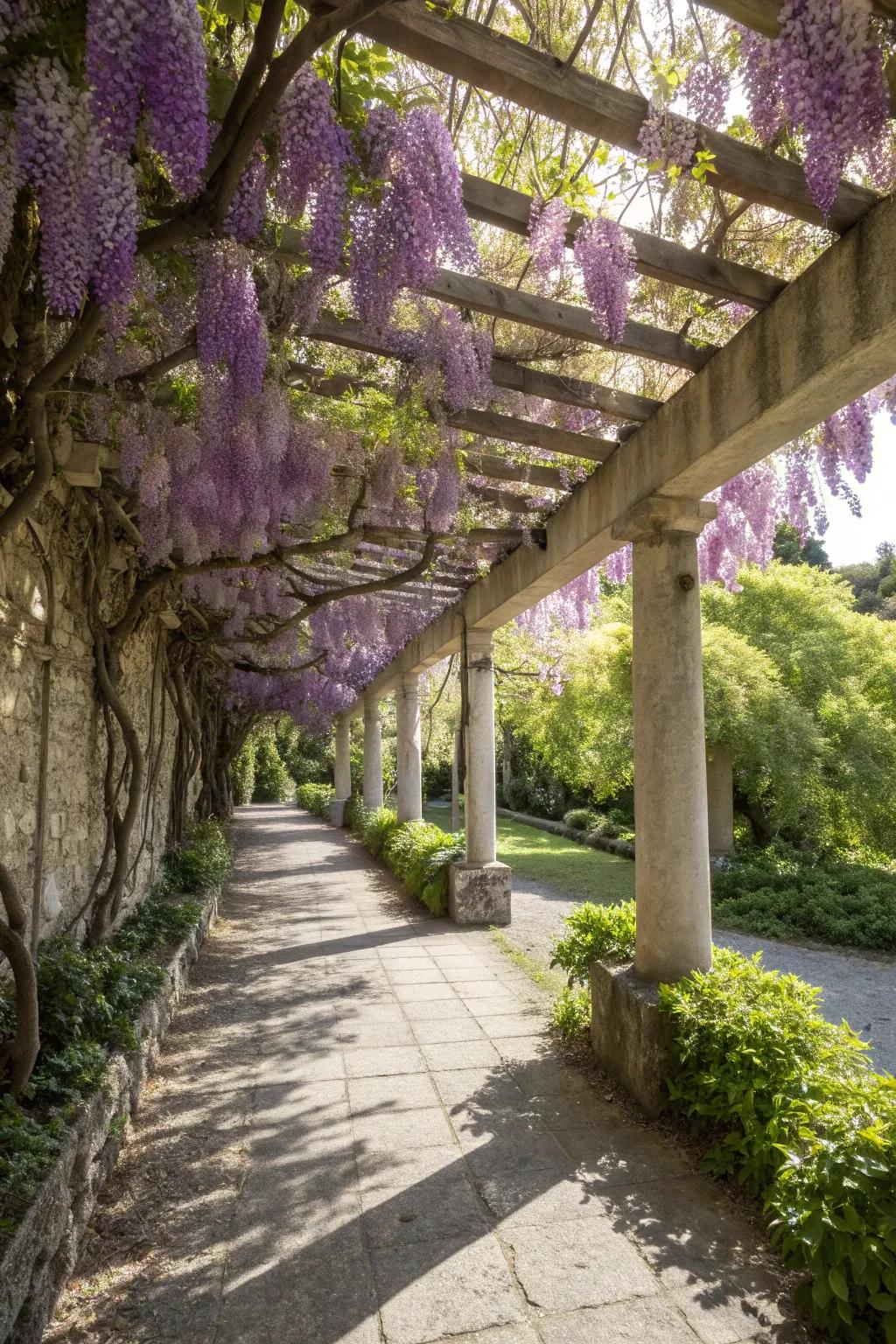 Let nature take over with a pergola draped in verdant vines.