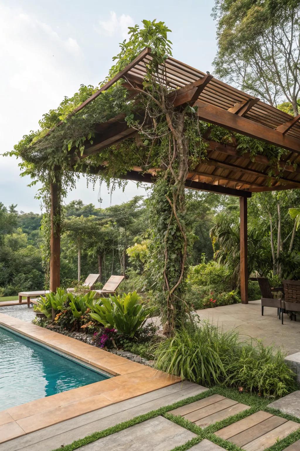 A wooden canopy draped in greenery blends seamlessly with nature.