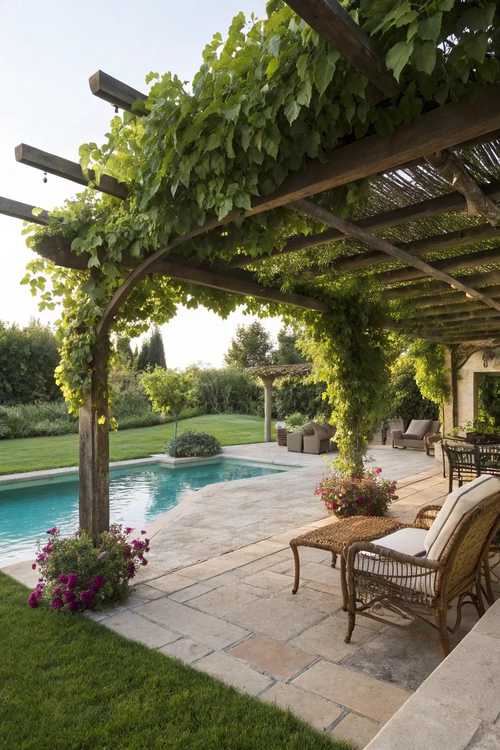 Relax under the shade of a pergola adorned with climbing vines.
