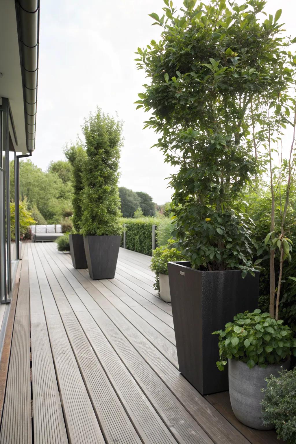 Tall planters provide instant greenery and privacy.
