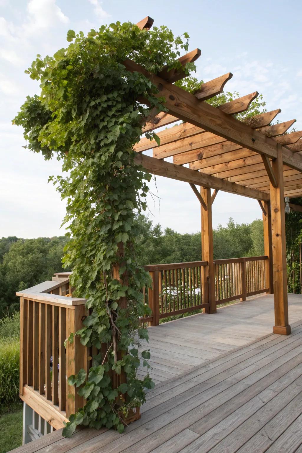 A pergola provides stylish shade, perfect for relaxing on your side deck.
