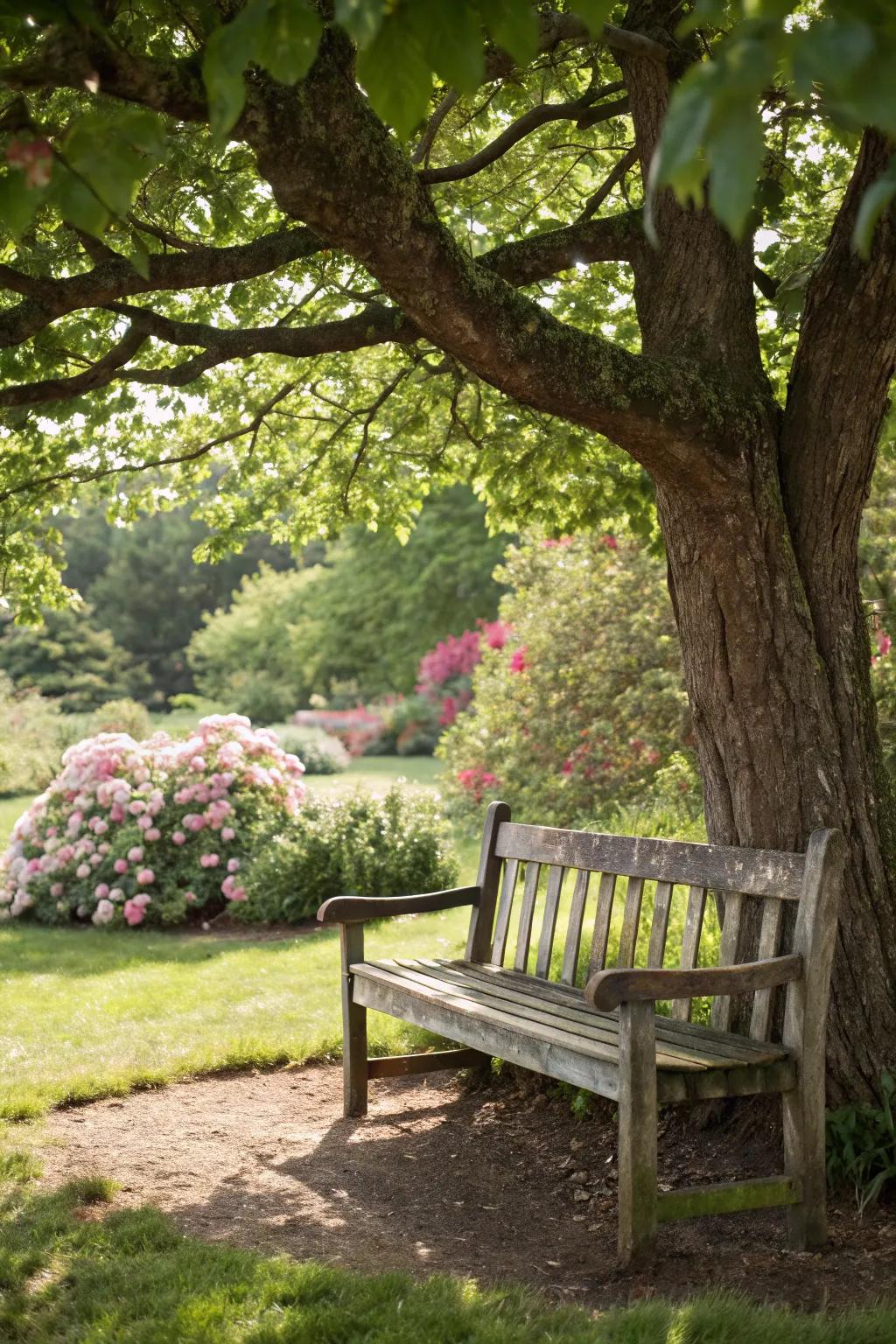 A cozy garden seating area with a wooden bench.