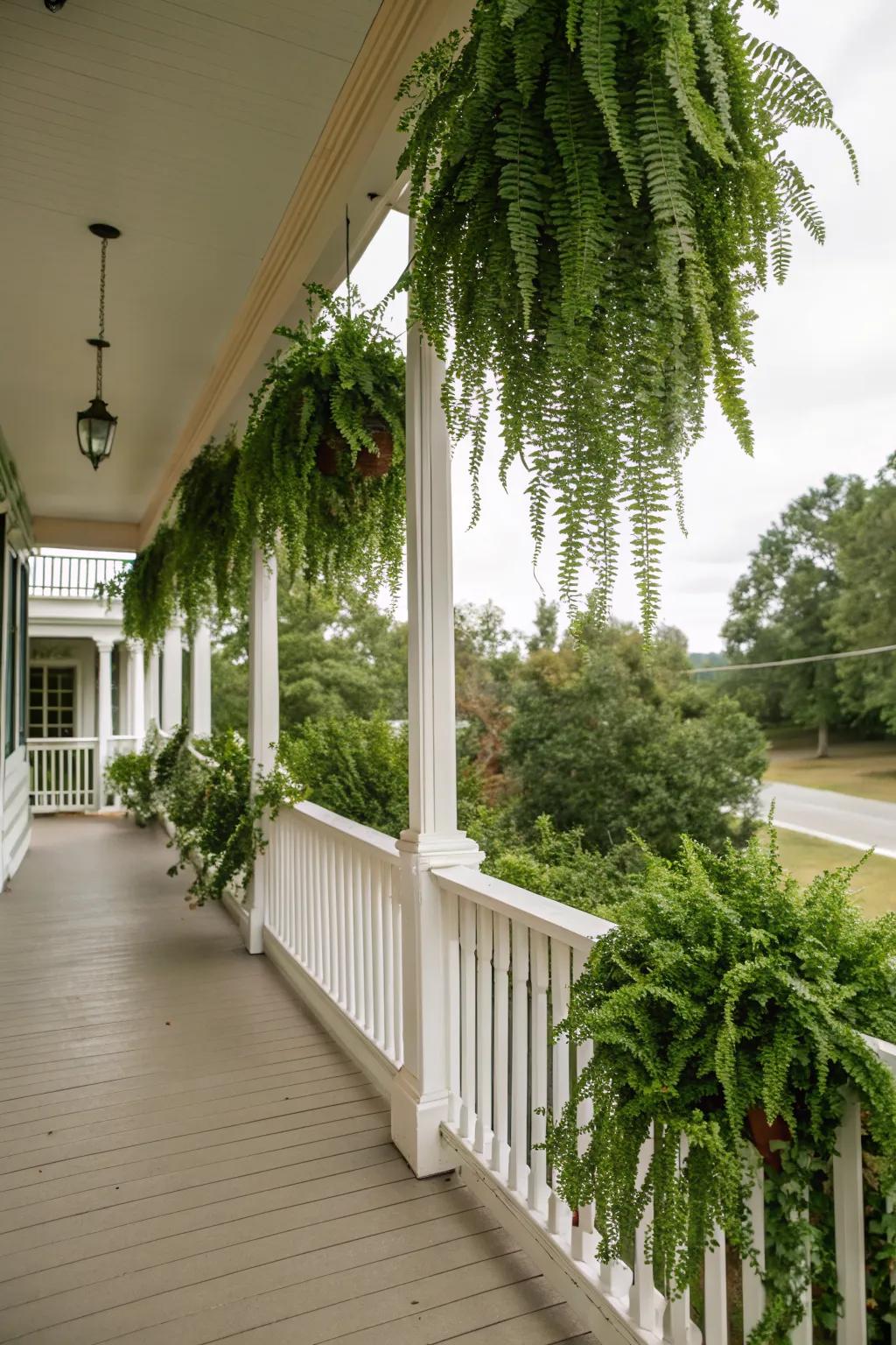 Lush greenery hanging from the porch creates a refreshing, natural vibe.