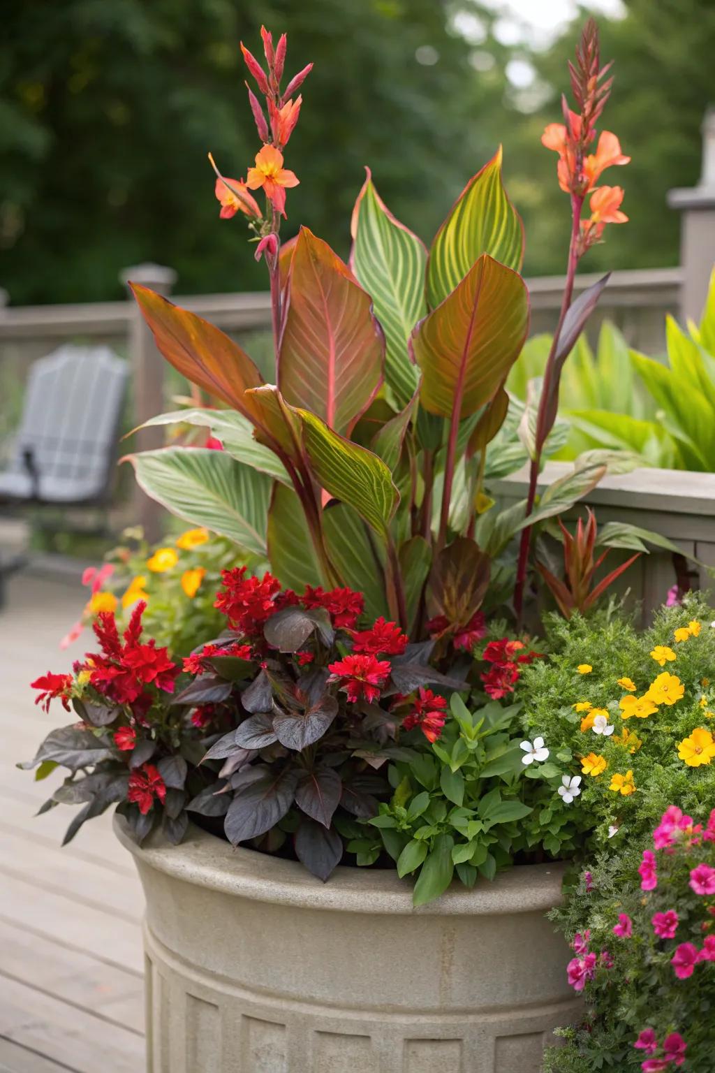 Canna lily making a bold statement as the centerpiece.