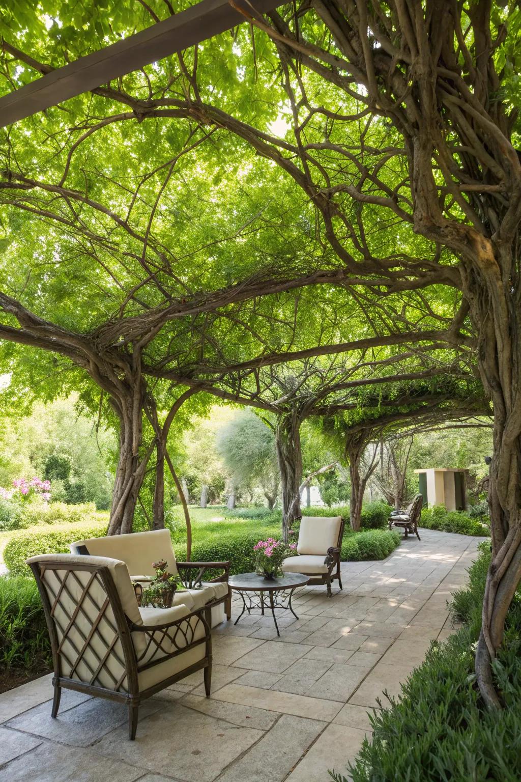 A tree canopy creates a peaceful retreat in your garden.