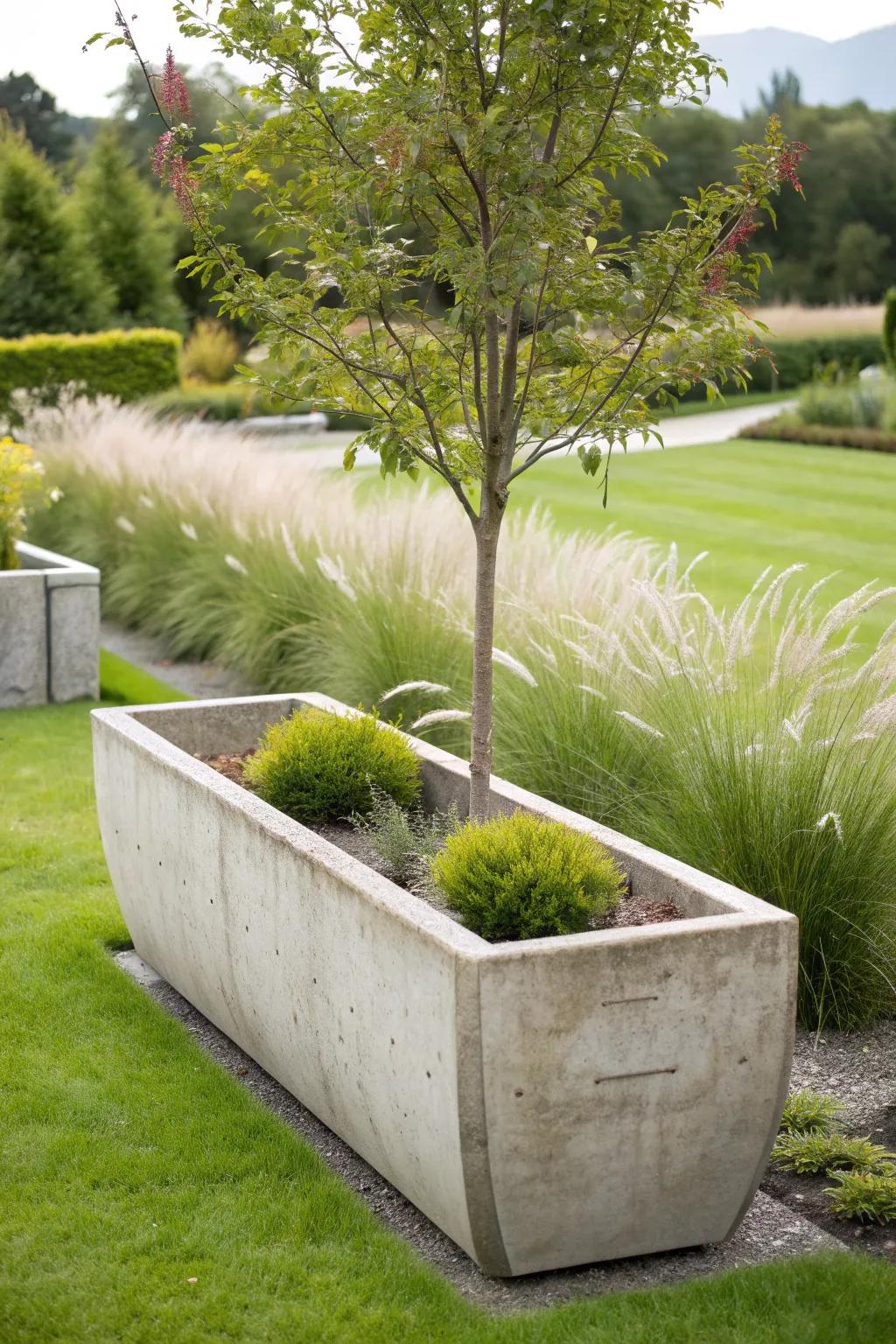 Durable concrete trough planter housing a small tree and grasses.