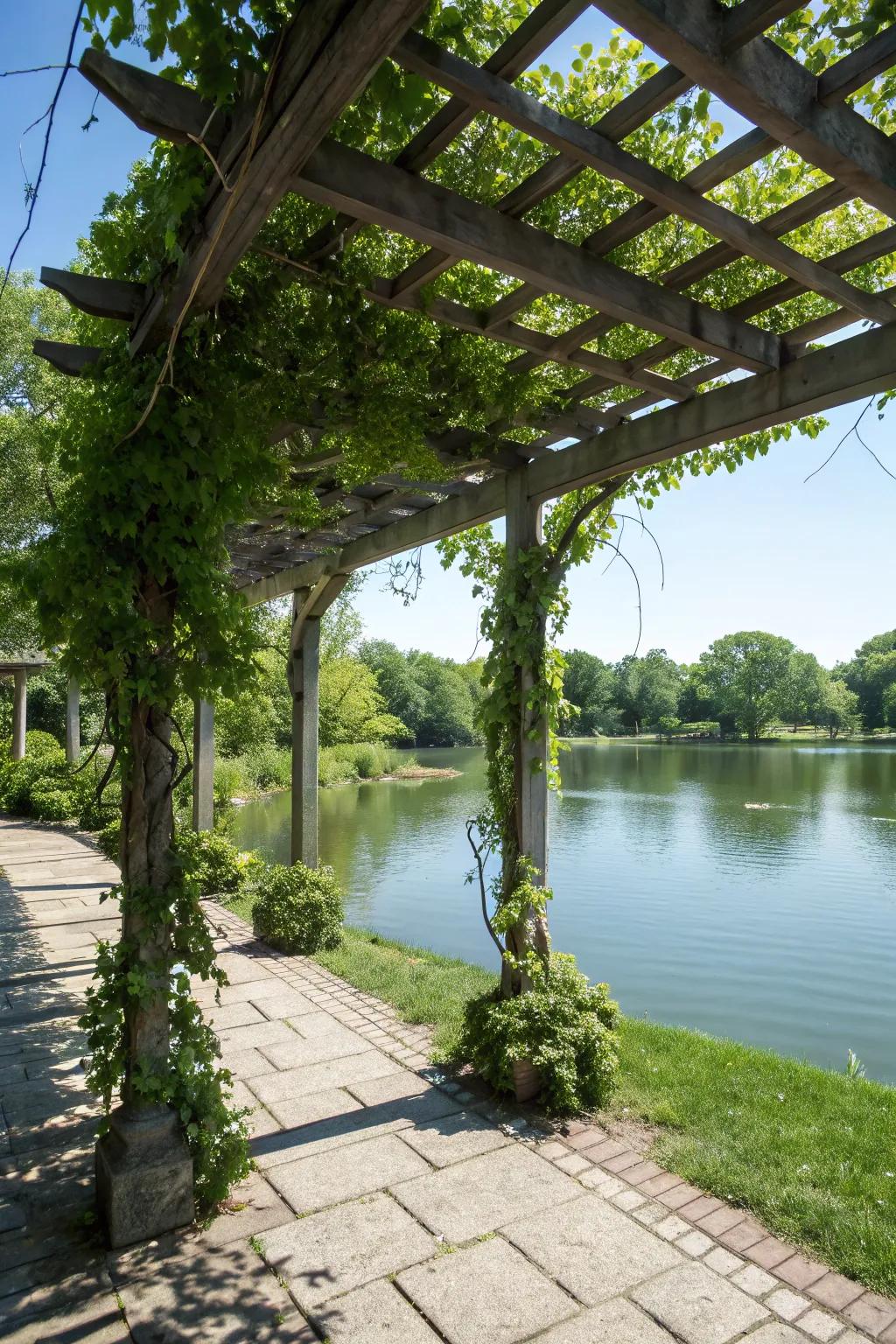 A pergola draped in greenery offers a shaded retreat by the water.