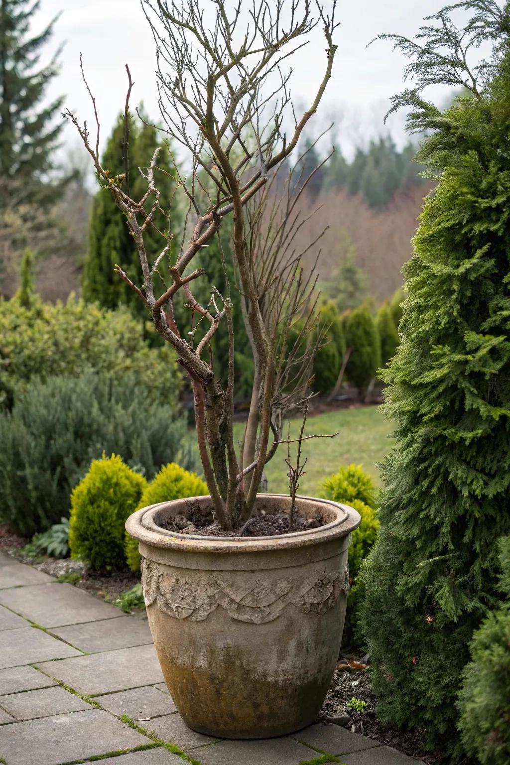 Bare branches add height and elegance to winter arrangements.