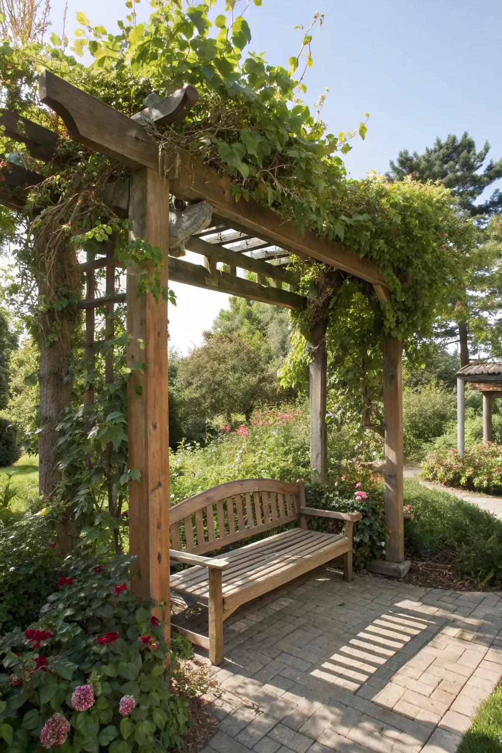 Wooden arbor with an integrated bench for a cozy retreat.