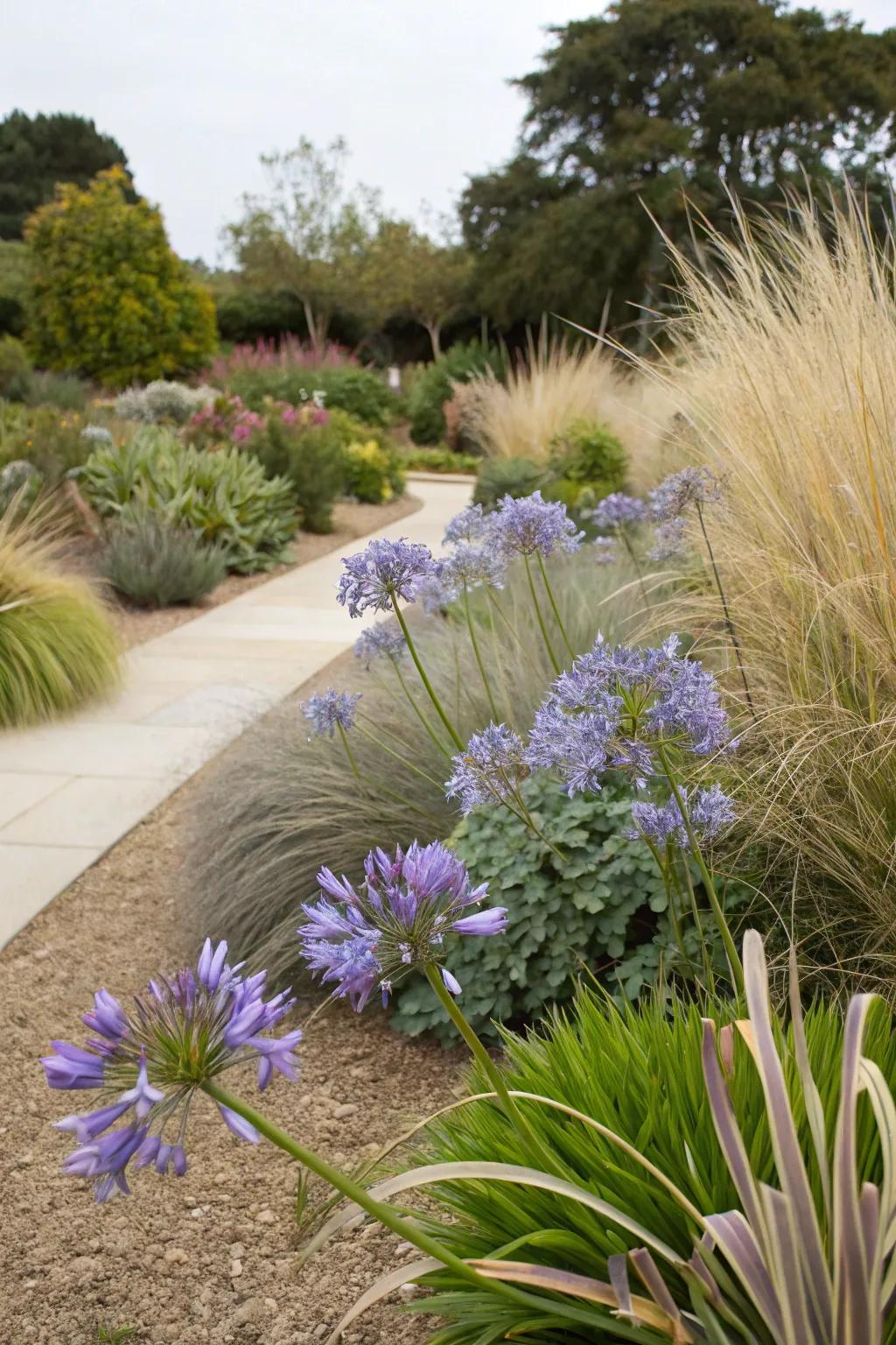 Create visual intrigue with contrasting plant textures.