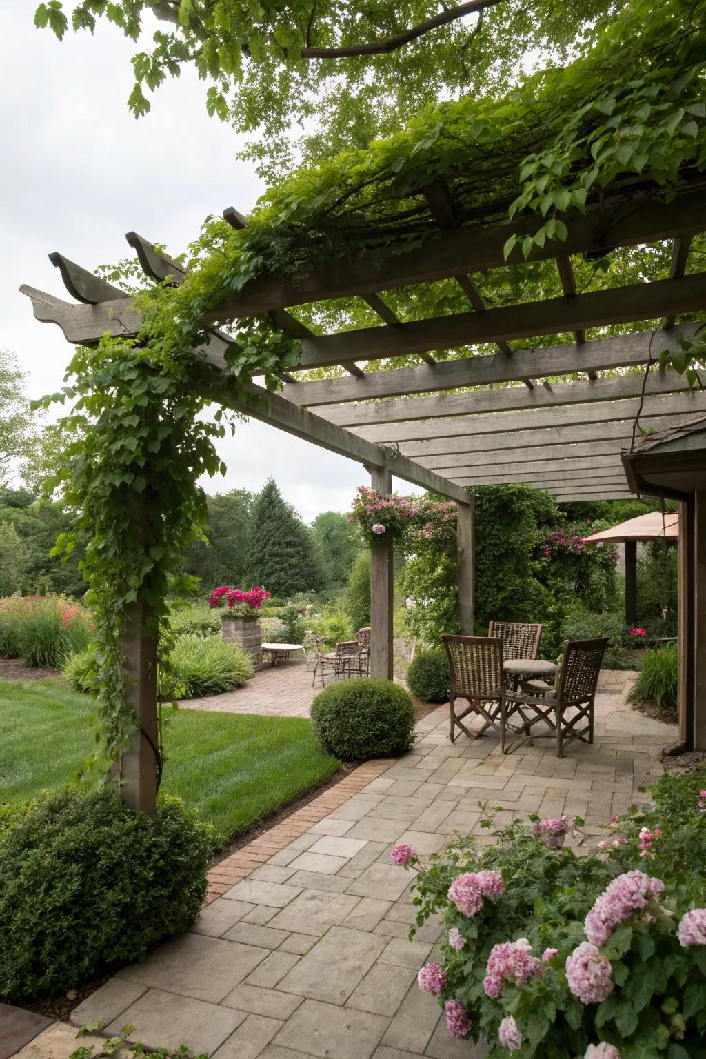 A pergola with climbing plants offers shade and privacy
